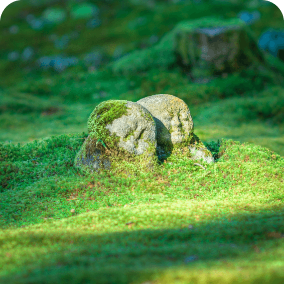 Two small moss-covered stone statues with serene faces resting close together on green mossy ground.
